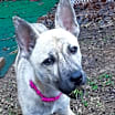 Thumbnail photo of Holly #3