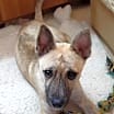 Thumbnail photo of Holly #4