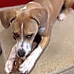 Thumbnail photo of Tito #1