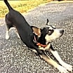 Thumbnail photo of Lula #2