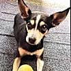 Thumbnail photo of Lula #3