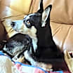 Thumbnail photo of Lula #4