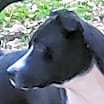 Thumbnail photo of Skip #1