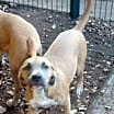 Thumbnail photo of Tess #1