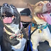 Thumbnail photo of Chance #4