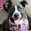 Thumbnail photo of Layla #3