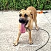 Thumbnail photo of Jasmine #4