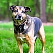 Thumbnail photo of Axel #1