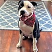 Thumbnail photo of Tucker #2