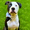 Thumbnail photo of Tucker #3
