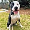 Thumbnail photo of Tucker #4