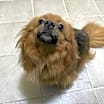 Thumbnail photo of Sally #1