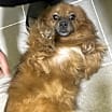 Thumbnail photo of Sally #2