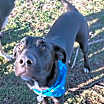 Thumbnail photo of Zander #3