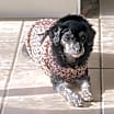 Thumbnail photo of Kiara #1