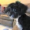 Thumbnail photo of Kiara #2