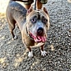 Thumbnail photo of CLYDE #4