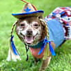 Thumbnail photo of Chloe Gelt #1
