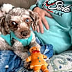 Thumbnail photo of Hudson #1