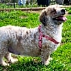Thumbnail photo of Effie #4