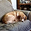 Thumbnail photo of Sophie #1