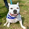 Thumbnail photo of Axel #1