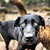 Thumbnail photo of Quigley #3