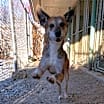 Thumbnail photo of Angel #1