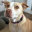 Thumbnail photo of Daisy #1