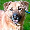 Thumbnail photo of Ishmael #2
