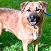 Thumbnail photo of Ishmael #3