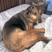 Thumbnail photo of Axel #3