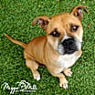 Thumbnail photo of Maya #1