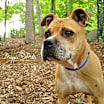 Thumbnail photo of Maya #2