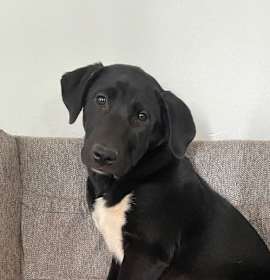 Photo of Hera