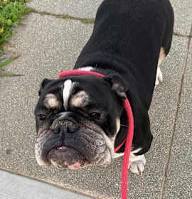 Photo of Bruce