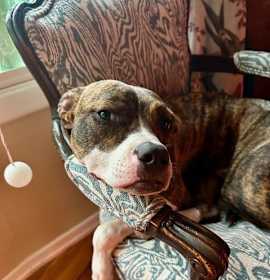 Photo of Flower **Courtesy Post**