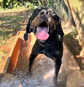 Photo of Jimmy Kimmel