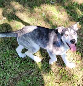 Photo of Aspen