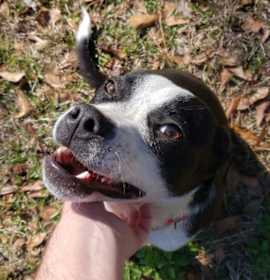 Photo of Davina *WAIVED FEE