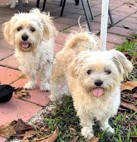 Photo of Lexi & Missy