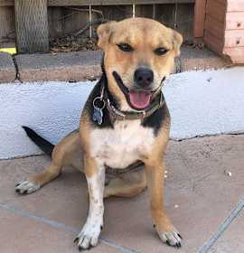 Photo of Luna
