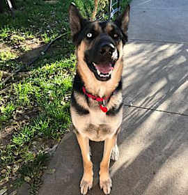 Photo of Vito