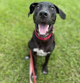 Rye (In Foster) photo 4