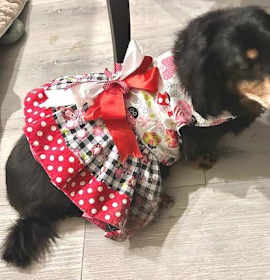 Photo of Mimi  -  Las Vegas
