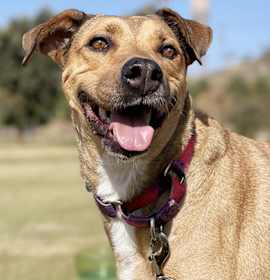 Photo of Chumi
