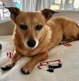 Photo of Maggie  -  So Ca