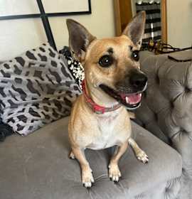 Photo of Choco-latte