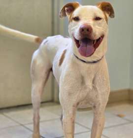 Romper/ Casper photo 4