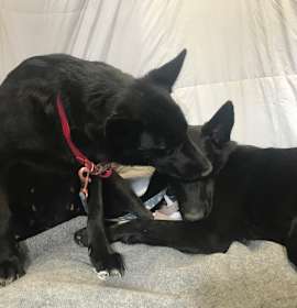 GRACE & KATIE photo 4